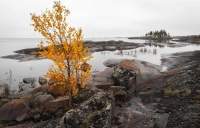 Фототур «Золотая осень на Ладоге» Фототур «Золотая осень на Ладоге»