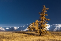 Фототур на Алтай Фототур на Алтай