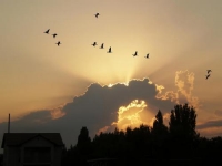 Фотоконкурс «Небесный свод» Фотоконкурс «Небесный свод»