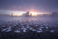 Фототур «Зимний Алтай» Фототур «Зимний Алтай»