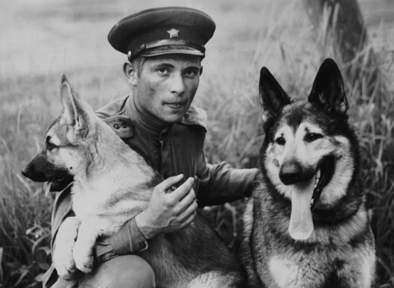 Фотовыставка «Пылающий остров» Фотовыставка «Пылающий остров»
