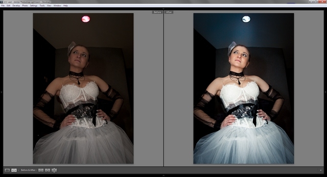 Семинар дизайнера Екатерины Бакулиной «Adobe Lightroom 3» Семинар дизайнера Екатерины Бакулиной «Adobe Lightroom 3»
