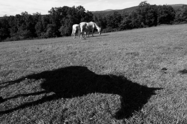 Фотовыставка «Genius loci. Топольчанки» Фотовыставка «Genius loci. Топольчанки»