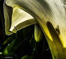 Фотоконкурс «PATTERNS AND SHADOWS 2019» Фотоконкурс «PATTERNS AND SHADOWS 2019»
