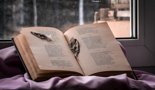 Фотоконкурс «Любимый предмет» Фотоконкурс «Любимый предмет»