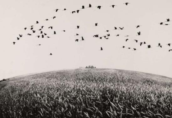 Лекция «Фототворчество Андрея Баскакова» Лекция «Фототворчество Андрея Баскакова»