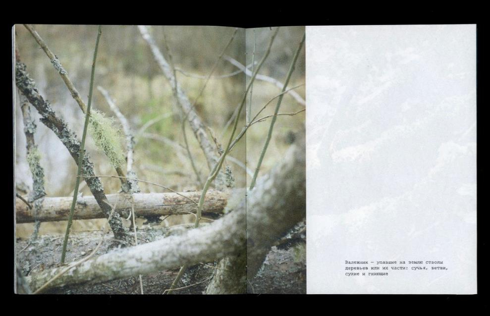 Интенсив по созданию авторских фотокниг