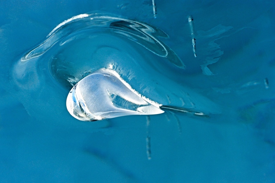 Выставка «AquaPaint»