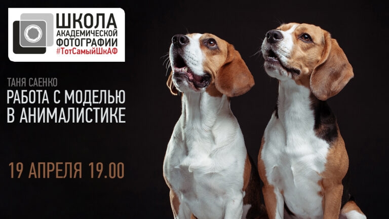 Открытая лекция «Работа с моделью в анималистике» Открытая лекция «Работа с моделью в анималистике»