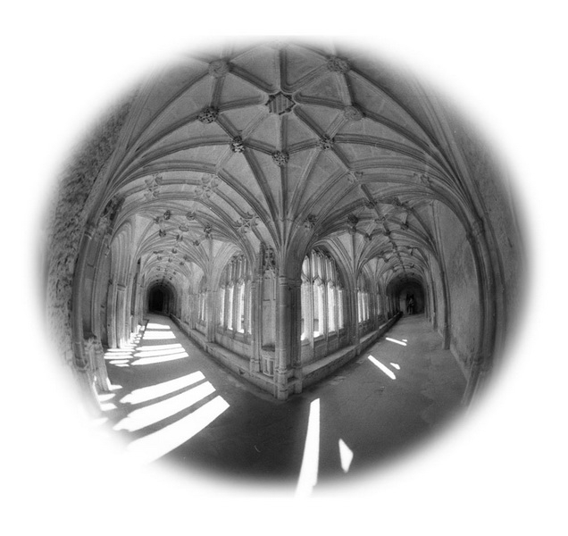 Выставка фотографа Мадины Астаховой Выставка фотографа Мадины Астаховой