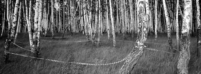 Лекция-диалог «Пейзаж. Все не так просто» Лекция-диалог «Пейзаж. Все не так просто»