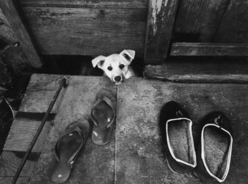 Выставка «100 фотографий Анатолия Болдина» Выставка «100 фотографий Анатолия Болдина»