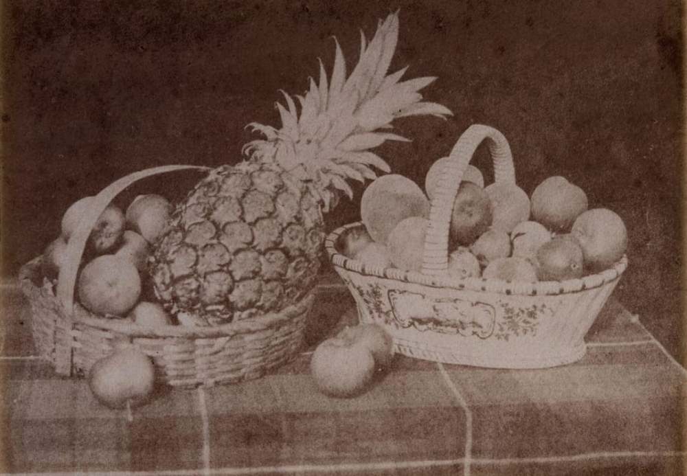 Выставка «Ранняя британская фотография» Выставка «Ранняя британская фотография»