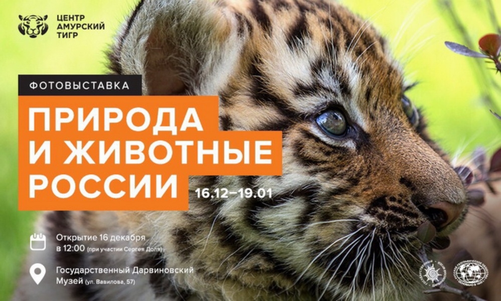 Фотовыставка «Природа и животные России» Фотовыставка «Природа и животные России»