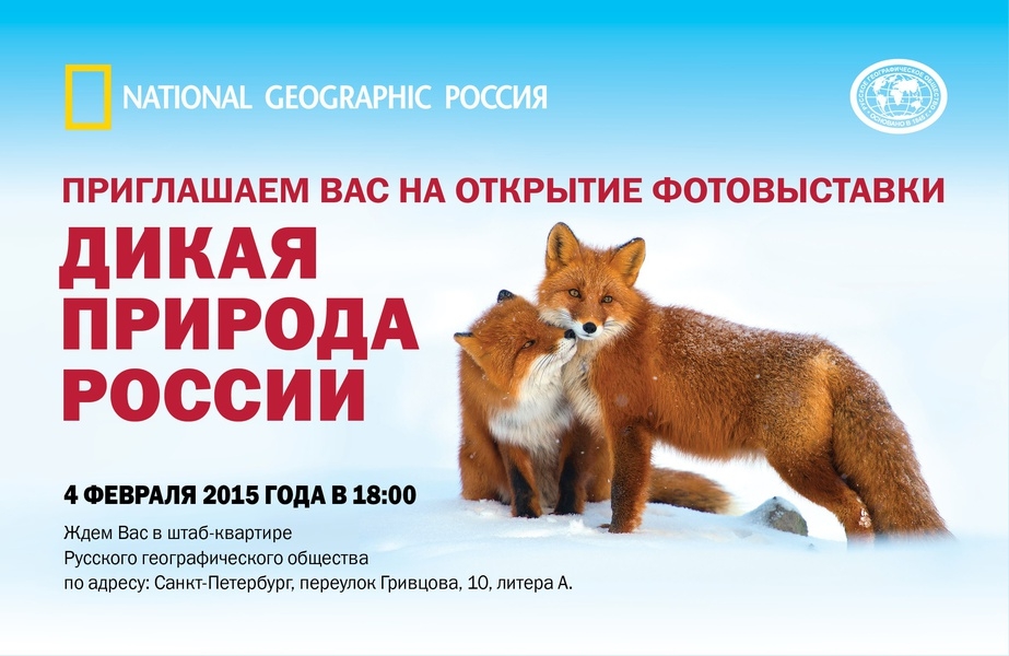 Выставка «Дикая природа России – 2014» Выставка «Дикая природа России – 2014»