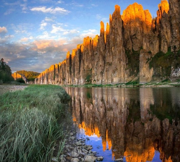 Фотовыставка «Дикая природа России» Фотовыставка «Дикая природа России»