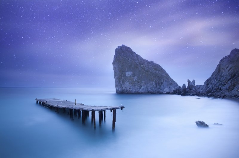 Фотовыставка «Дикая природа России» Фотовыставка «Дикая природа России»