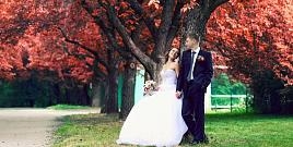 Бесплатный семинар в Челябинске «Свадебная фотография» Бесплатный семинар в Челябинске «Свадебная фотография»