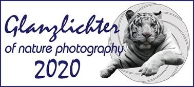Конкурс фотографии природы Glanzlichter 2020 Конкурс фотографии природы Glanzlichter 2020
