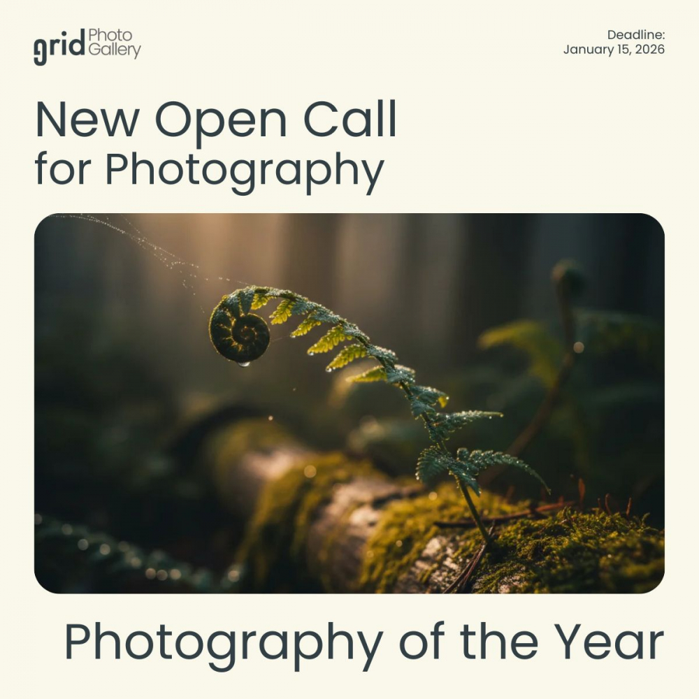 Конкурс от Grid Photo Gallery «Photography of the Year 2025» Конкурс от Grid Photo Gallery «Photography of the Year 2025»