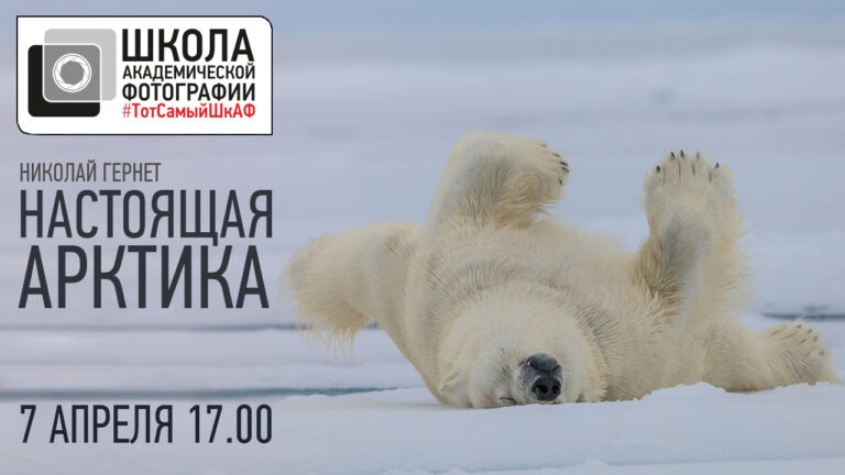 Открытая лекция Николая Гернета «Настоящая Арктика» Открытая лекция Николая Гернета «Настоящая Арктика»