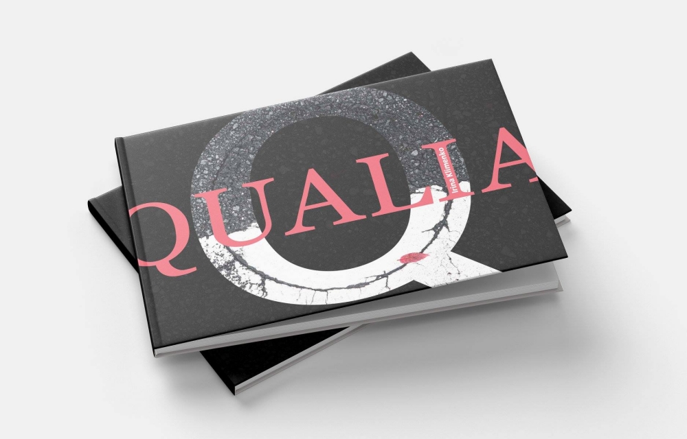 Презентация книги Ирины Клименко QUALIA Презентация книги Ирины Клименко QUALIA