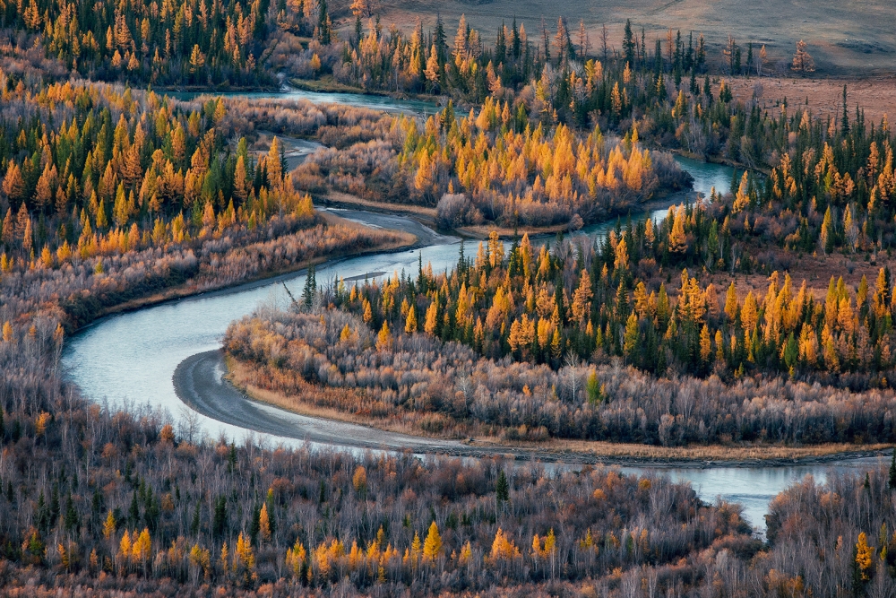 Фотовыставка «NATURE PHOTO EXP»