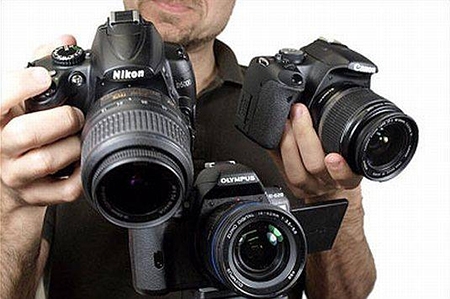 Мастер-класс для начинающих фотографов Мастер-класс для начинающих фотографов
