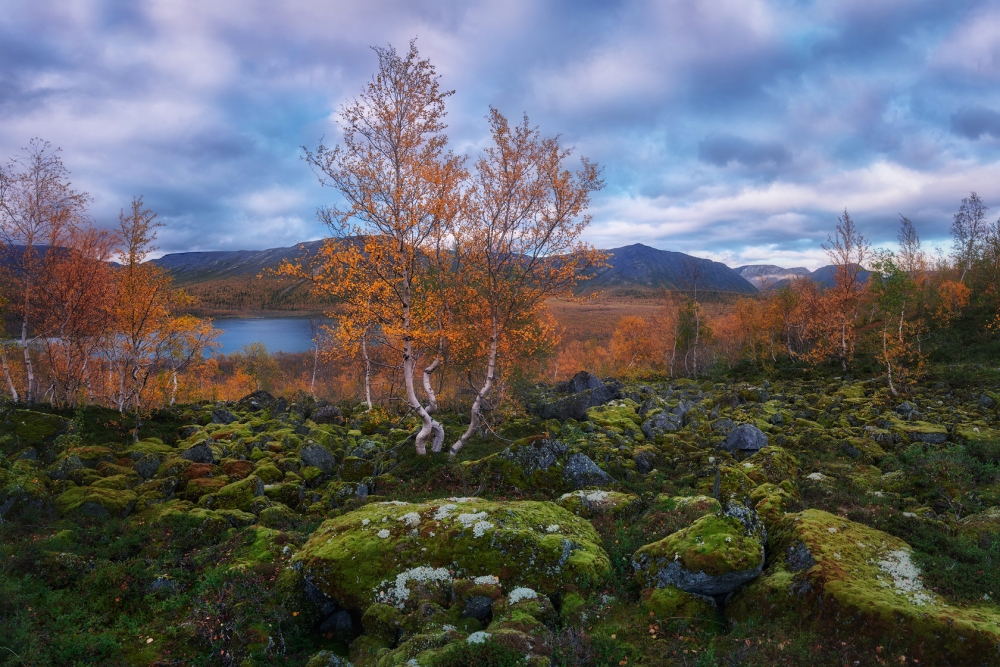 Фотопрогулка «Фотографируем осеннюю природу» Фотопрогулка «Фотографируем осеннюю природу»