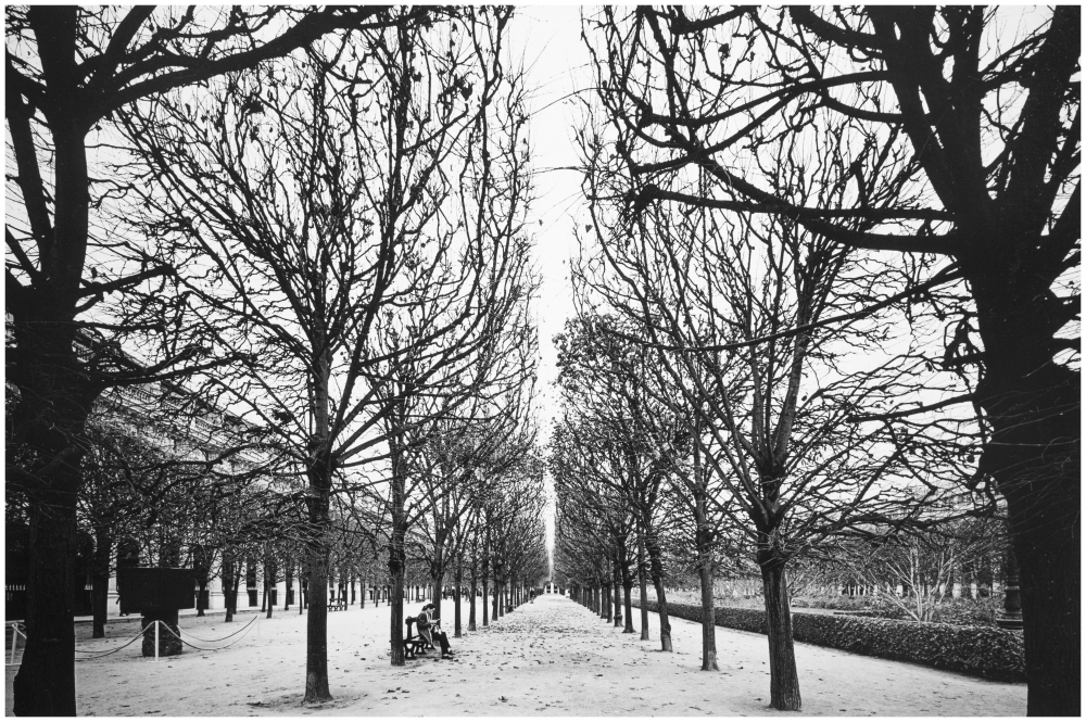 Фотовыставка Максима Бедова «PORTFOLIO #1» Фотовыставка Максима Бедова «PORTFOLIO #1»