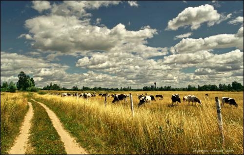 Фотоконкурс «Панорама природы»