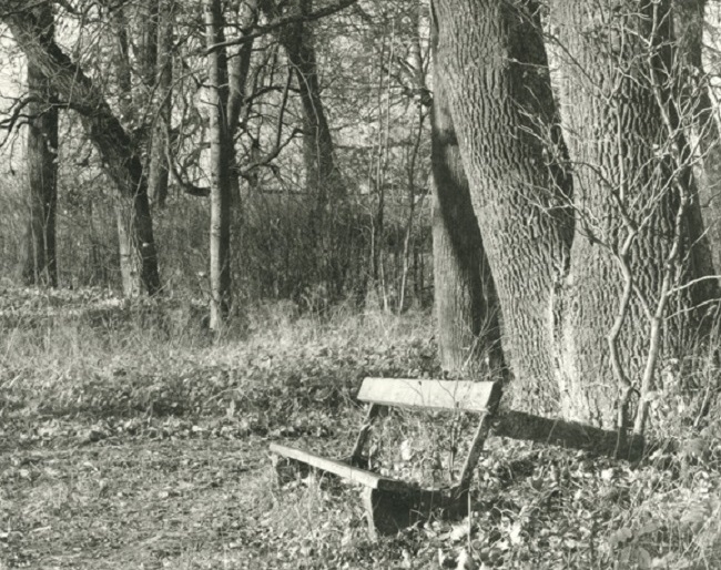 Выставка «Предместья Петербурга. Рукотворная бромсеребряная фотография» Выставка «Предместья Петербурга. Рукотворная бромсеребряная фотография»