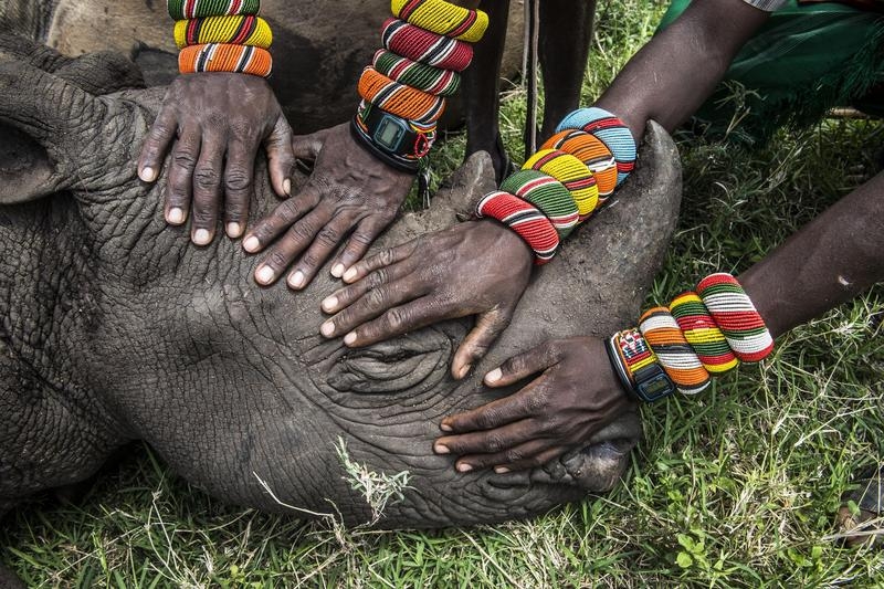 Фотовыставка World Press Photo 2015 Фотовыставка World Press Photo 2015