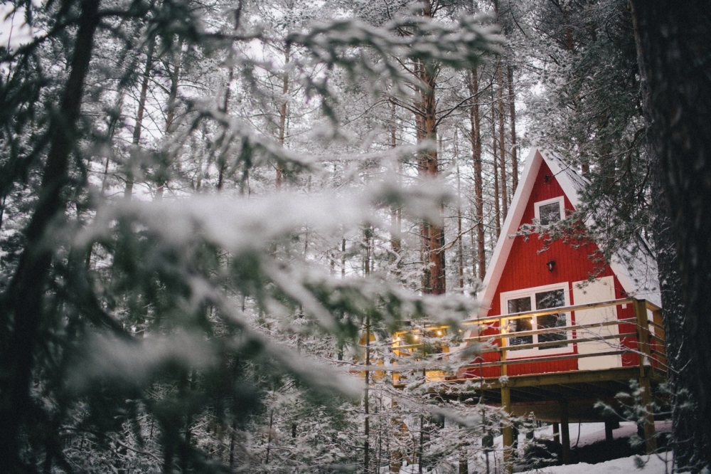 Зимний «GREENVALD WORKSHOP» Зимний «GREENVALD WORKSHOP»