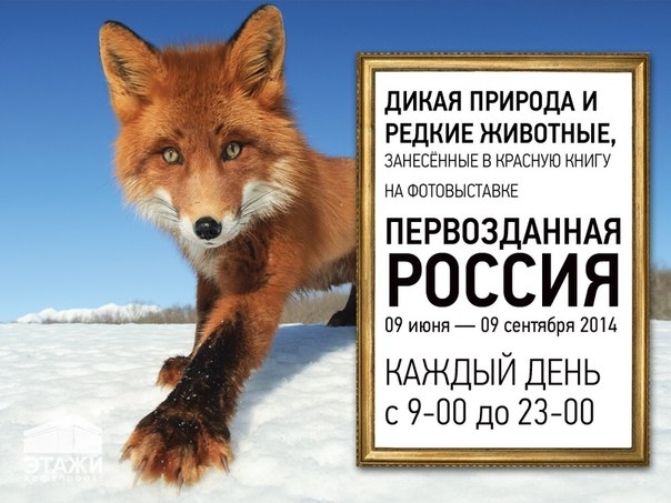 Фотовыставка «Первозданная Россия» Фотовыставка «Первозданная Россия»