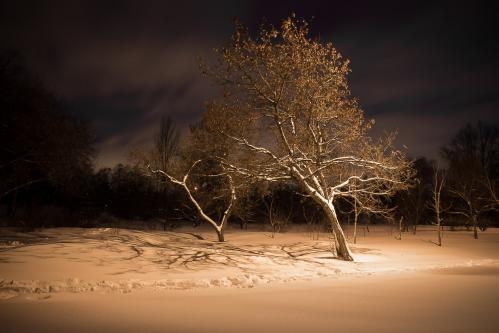 Фотоконкурс «Красивый снег» Фотоконкурс «Красивый снег»