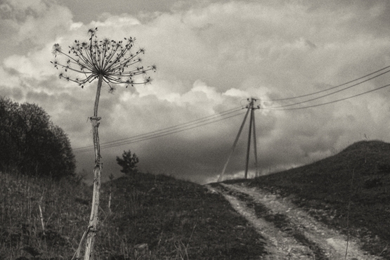 Выставка конкурса «ФОТОСОЮЗ-2019» Выставка конкурса «ФОТОСОЮЗ-2019»