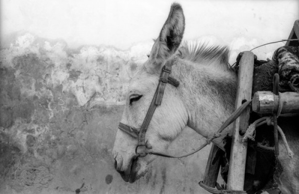 Фотовыставка «Проекции солнца. Часть II» Фотовыставка «Проекции солнца. Часть II»