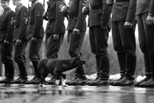 Выставка «ТАСМА. Казанская фотогруппа» Выставка «ТАСМА. Казанская фотогруппа»