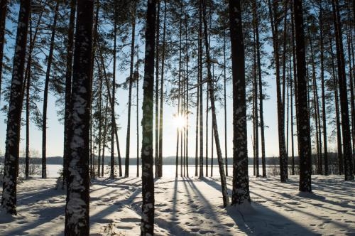 Фотоконкурс «Свет и тень в пейзаже» Фотоконкурс «Свет и тень в пейзаже»