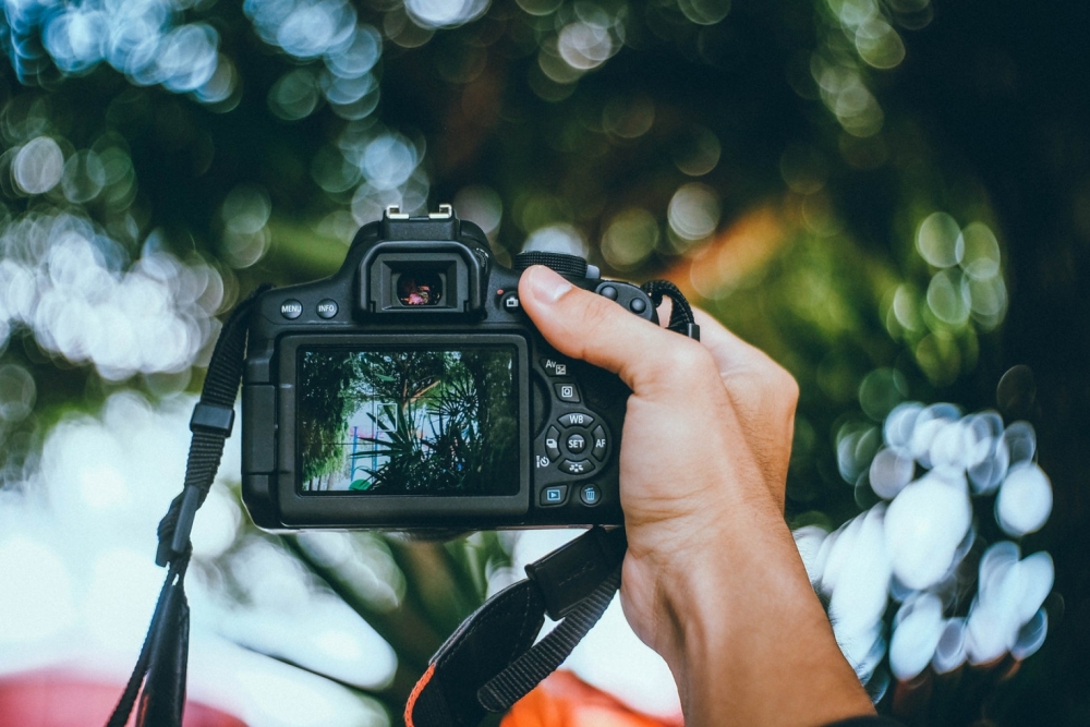 Открытый урок по основам фотографии Открытый урок по основам фотографии