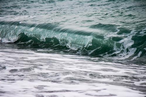 Фотоконкурс «Мир водной стихии» Фотоконкурс «Мир водной стихии»