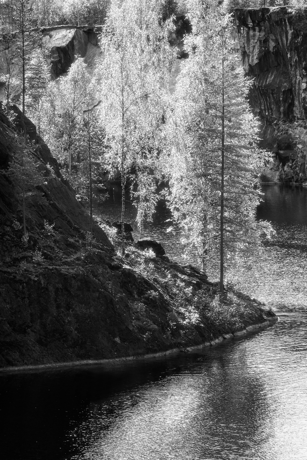 Фотовыставка Ларисы Андрушкевич «Времена года» Фотовыставка Ларисы Андрушкевич «Времена года»