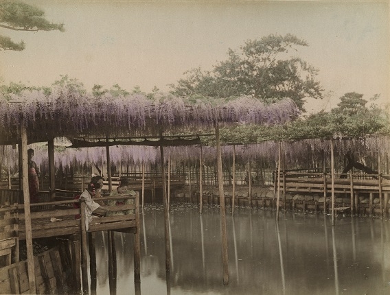 Выставка «Старинная японская фотография» Выставка «Старинная японская фотография»