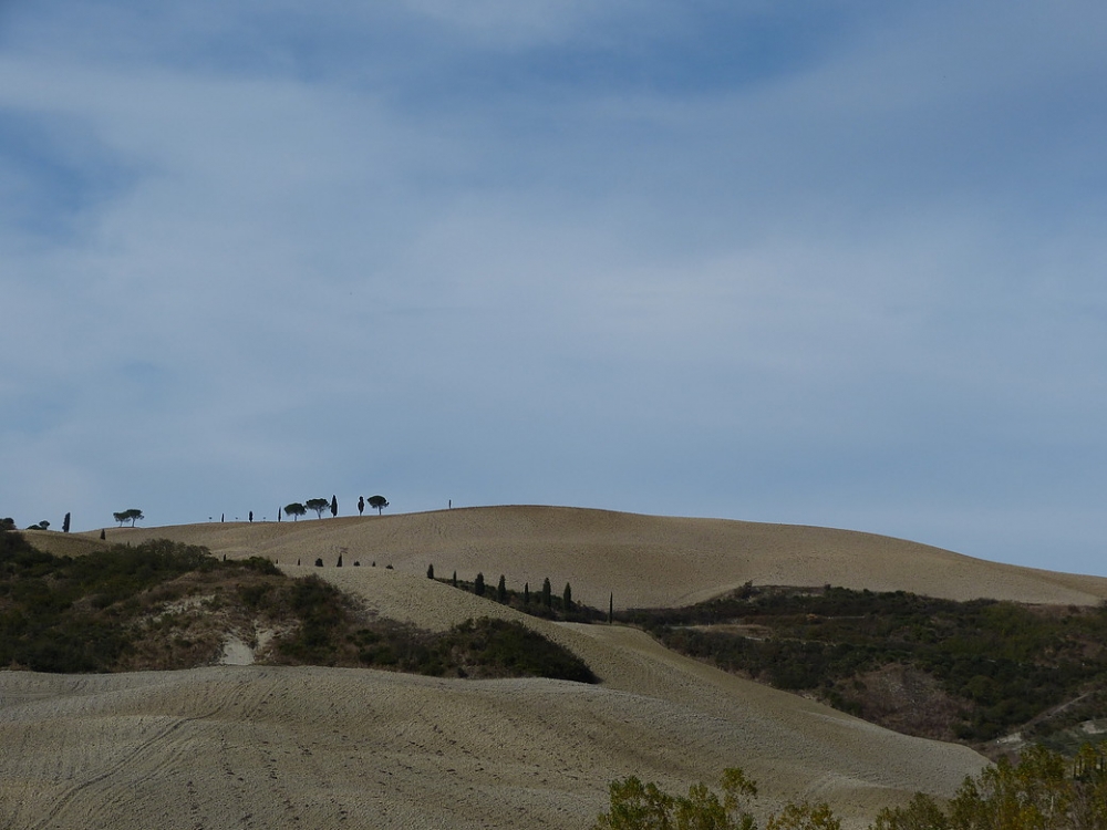 Выставка «Земля и дорога. Toscana. Объектив Валерия Сировского» Выставка «Земля и дорога. Toscana. Объектив Валерия Сировского»