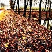 Фотовыставка «Пейзаж. Три большие разницы» Фотовыставка «Пейзаж. Три большие разницы»