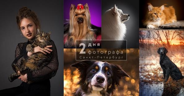 Мастер-класс по фотографии «Как снимать животных и делать это красиво» Мастер-класс по фотографии «Как снимать животных и делать это красиво»