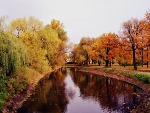 Фотоконкурс «Золотая осень»