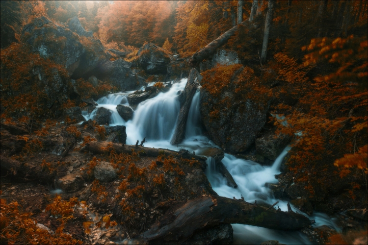 Фототур «Осенние туманы Адыгеи»