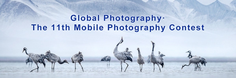 Global Photography The 11th Mobile Photography Contest